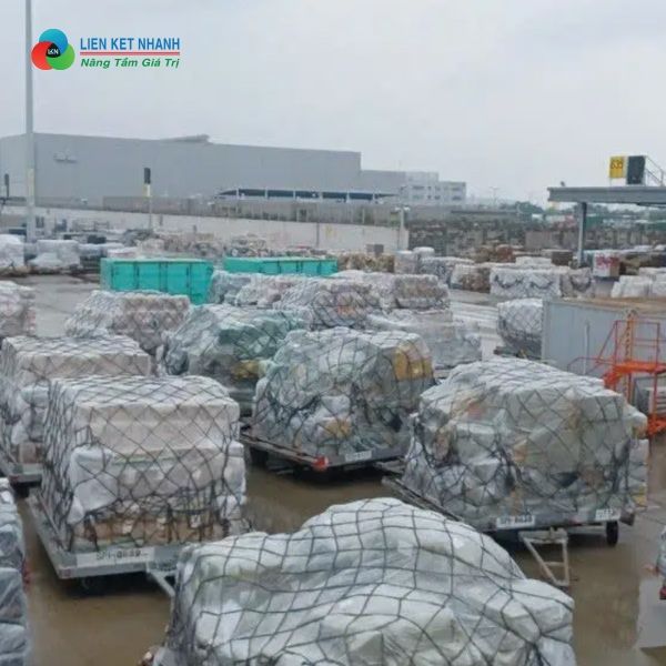 Có nhiều loại hình dịch vụ vận chuyển
